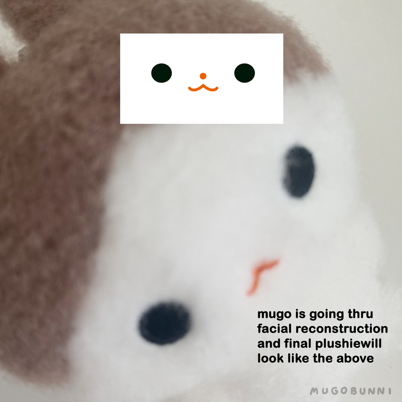 PREORDER: Softie Plushies READ DESCRIPTION